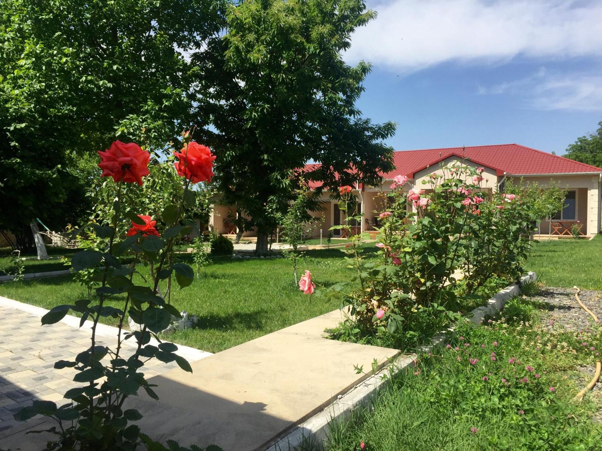 Cozy Family Cottages Vendam Exterior photo