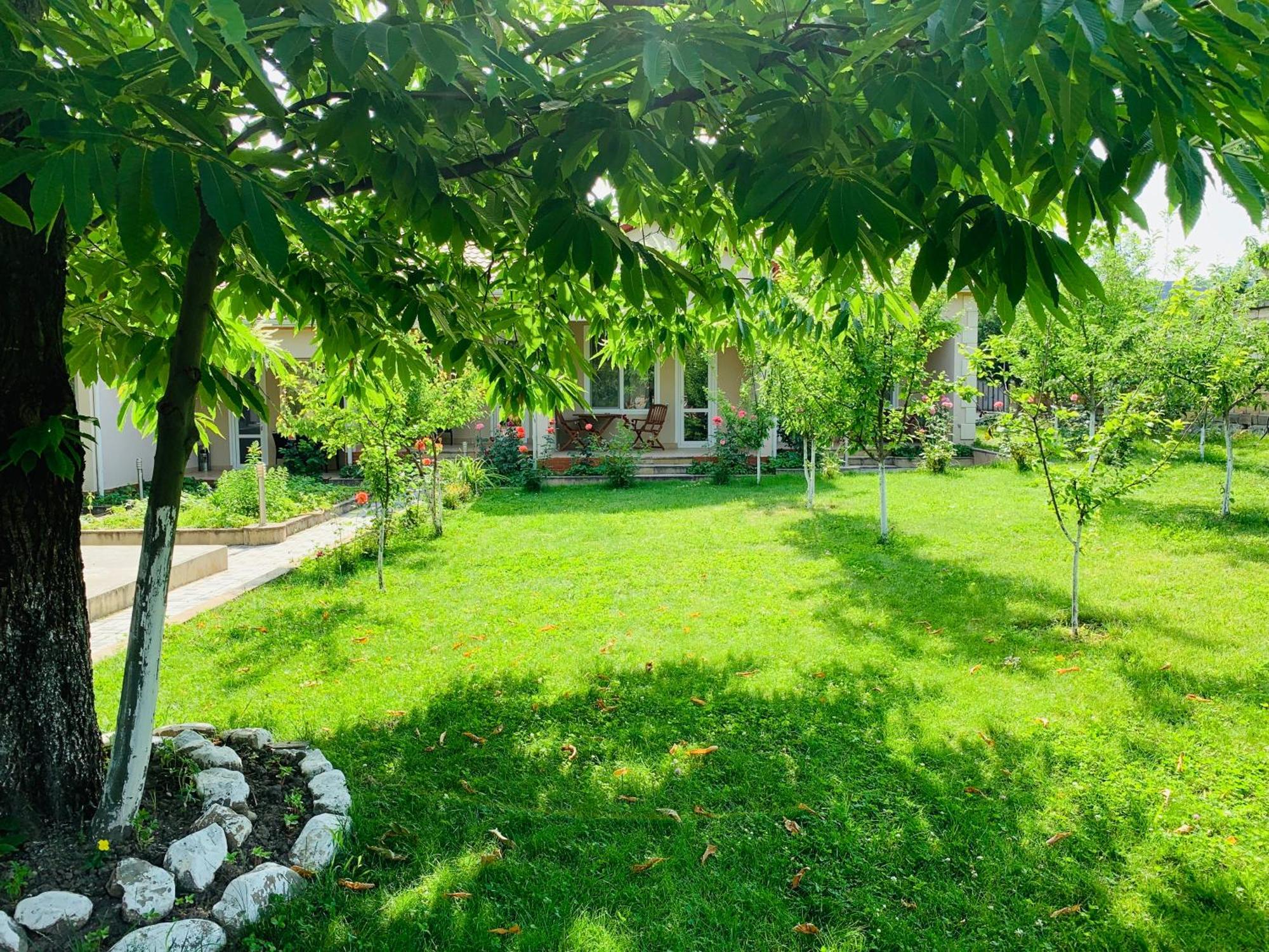 Cozy Family Cottages Vendam Exterior photo